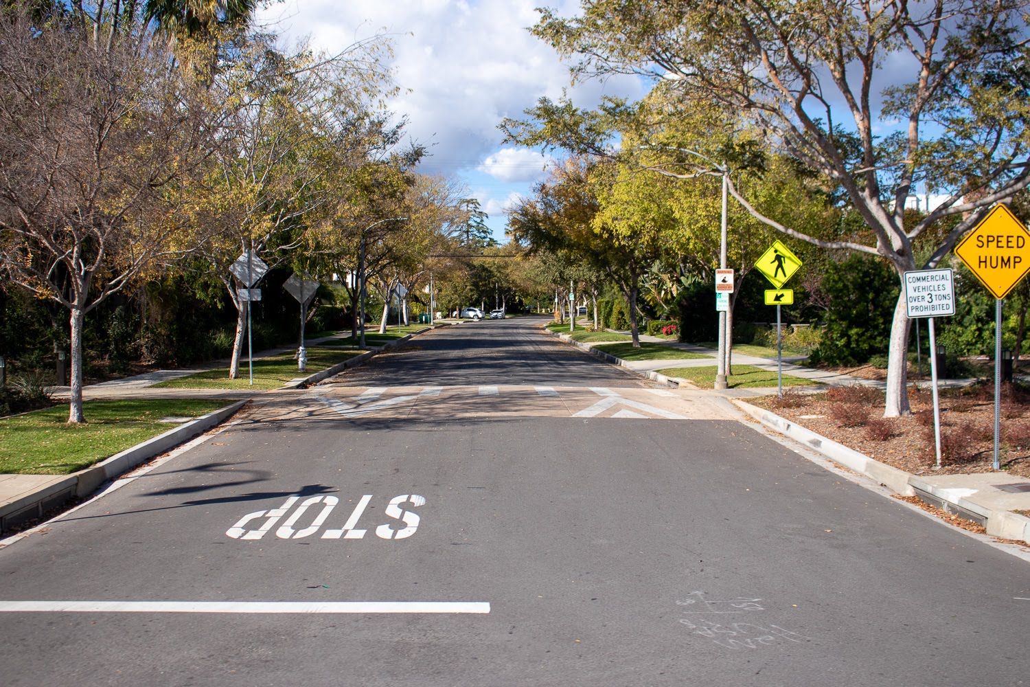 Tampa, FL – Crash at Bruce B Downs Blvd & E County Line Rd